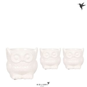 Keramische Pot Home Owl white
(12 Plants/Order)(6cmP 8cmH)