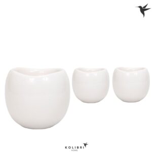 Keramische Pot Home Bowl white
(6 Plants/Order)(9cmP 13cmH)