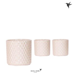 Keramische Pot Kolibri Home Diamond Pearl Pot travertine
(5 Plants/Order)(12cmP 13cmH)