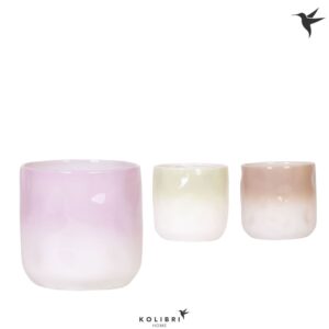 Keramische Pot Home Gradience mix
(4 Plants/Order)(12cmP 13cmH)