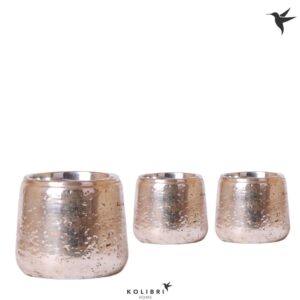 Keramische Pot Kolibri Home Luxury Pot silver
(6 Plants/Order)(9cmP 11cmH)