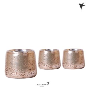 Keramische Pot Kolibri Home Luxury Pot silver
(4 Plants/Order)(12cmP 13cmH)