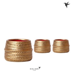 Keramische Pot Kolibri Home Groove Pot gold
(12 Plants/Order)(6cmP 6cmH)