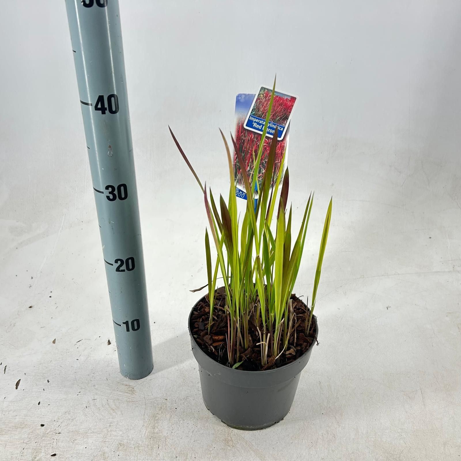 89d7ebe9-b0b3-4f23-a5c4-59bb2901f5af.jpg