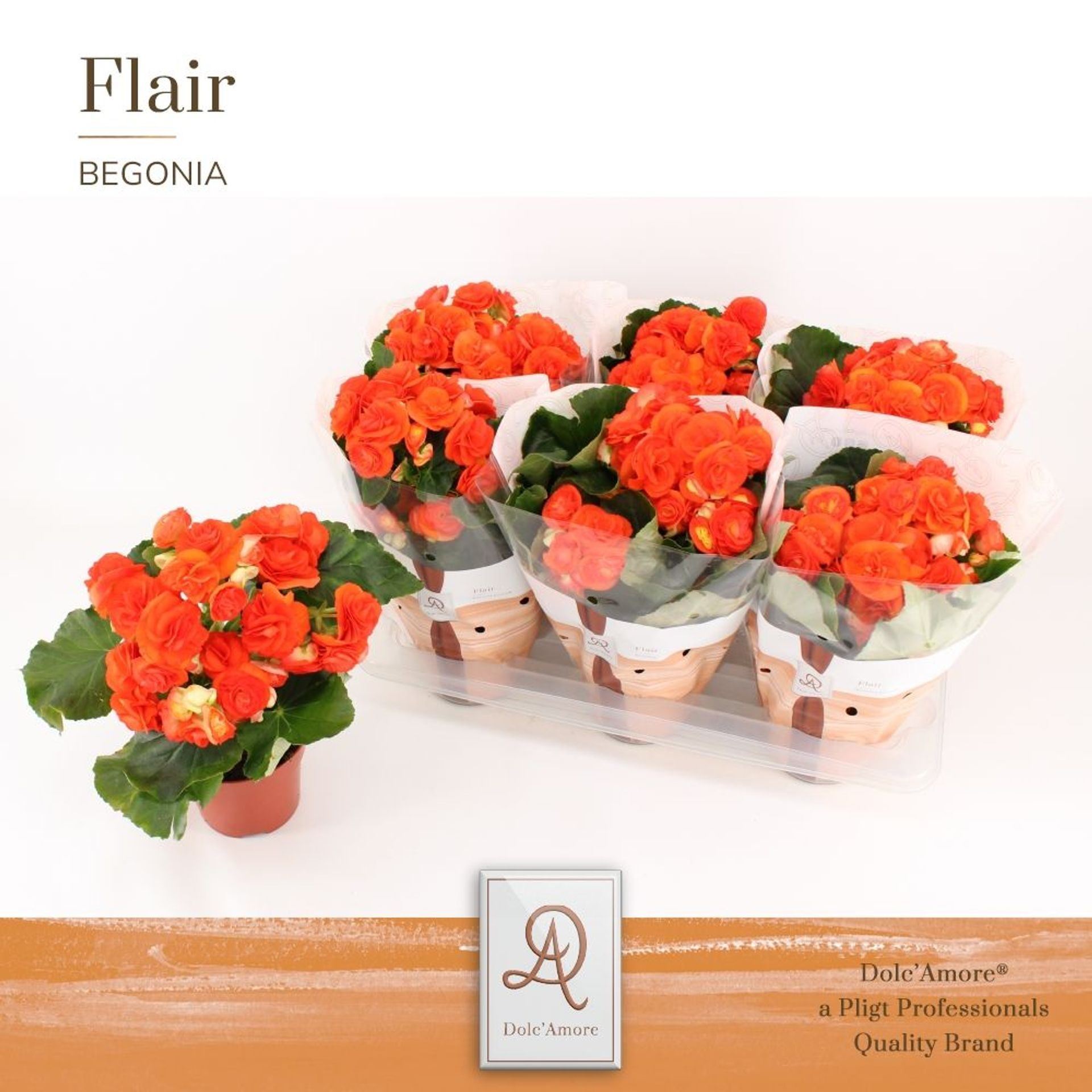 8aea69ff-402f-48da-91e2-4cc61c0dfa82.jpg