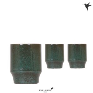 Keramische Pot Home Classy green
(8 Plants/Order)(9cmP 13cmH)