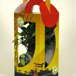 Bonsai bonsai mix 15 cm in chinese gift box with drip tray
(7 Plants/Order)(15cmP 25cmH)