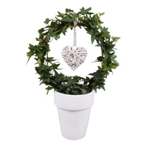 Hedera Hedera boog+hart in Ceramics
(5 Plants/Order)(13cmP 40cmH)