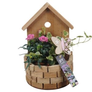 Perkgoed Arrangementen PTPP6989 Arrangement Patio in houten bak
(5 Plants/Order)(16cmP 27cmH)