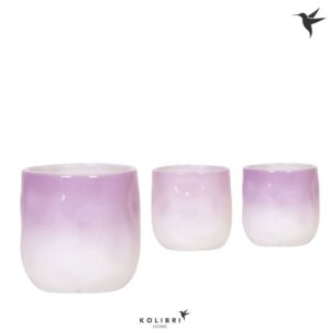 Keramische Pot Kolibri Home Gradience Pot lilac mix
(6 Plants/Order)(9cmP 11cmH)