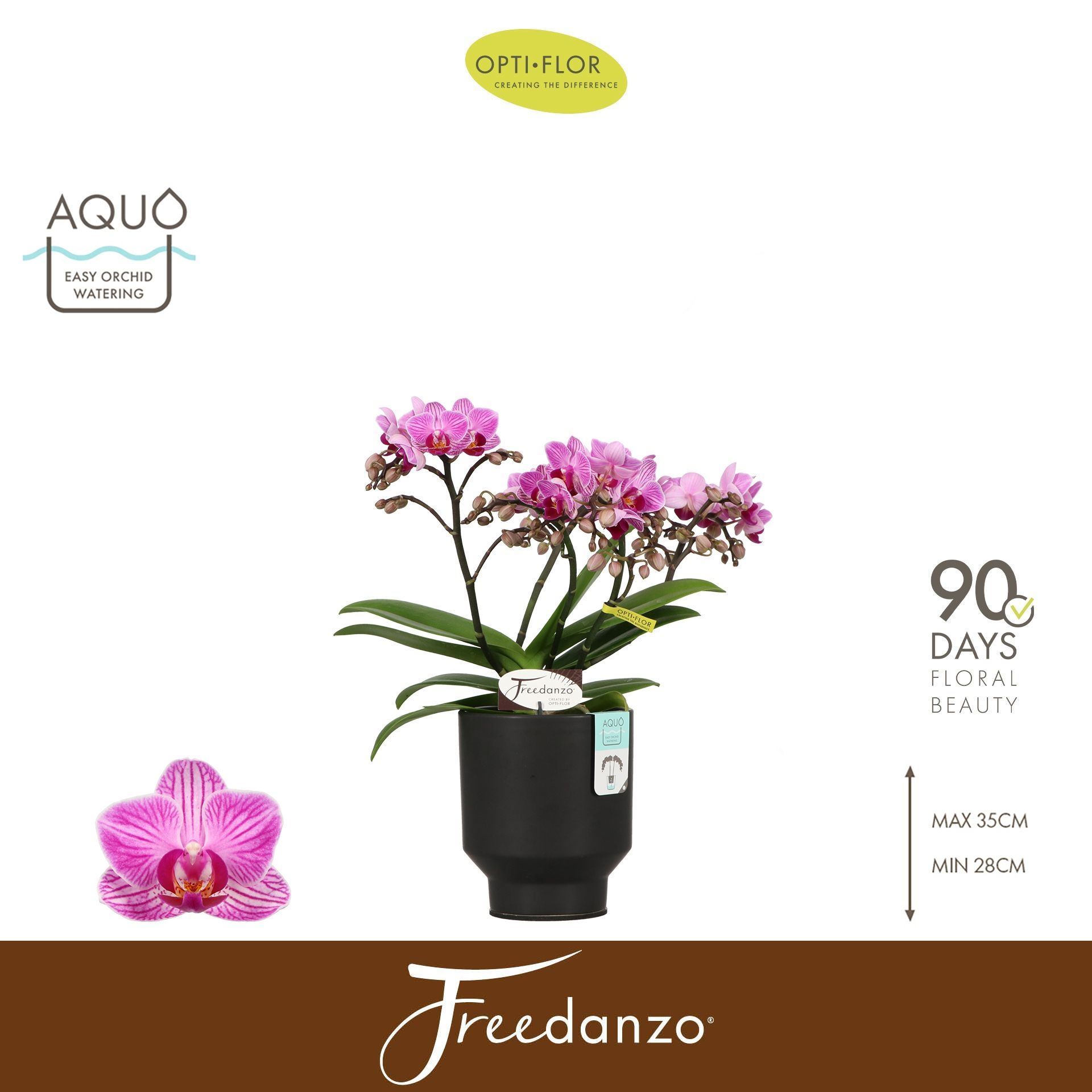 cfcada70-2fbe-46b0-a70c-93b12d92c2fa.jpg