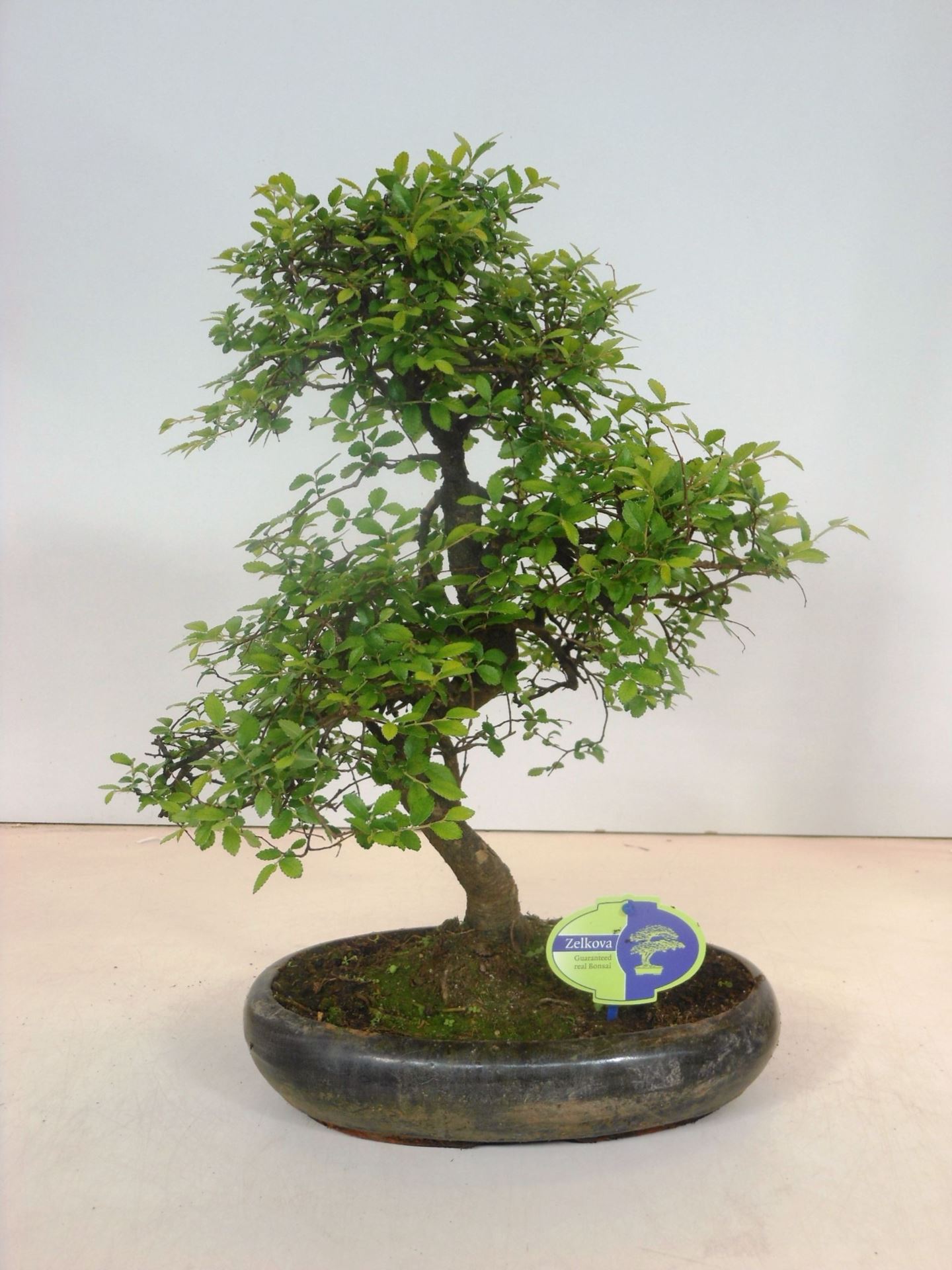 d8dbf2e4-9627-4e03-bded-5c3329e211cc.jpg