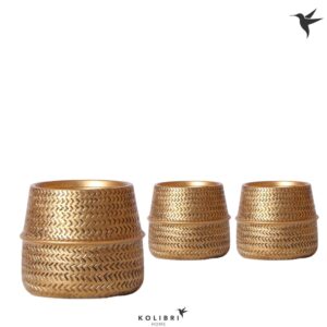 Keramische Pot Kolibri Home Groove Pot gold
(6 Plants/Order)(9cmP 11cmH)