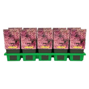 Achillea Lightning Pink' P11
(10 Plants/Order)(11cmP 25cmH)