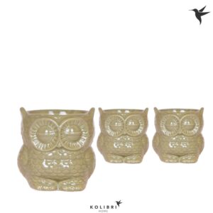 Keramische Pot Home Owl green
(6 Plants/Order)(9cmP 12cmH)