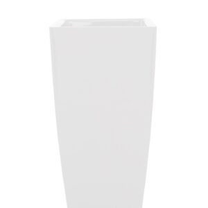 Arrangement Artevasi Piza white
(1 Plants/Order)(33cmP 60cmH)
