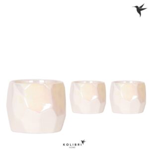 Keramische Pot Home Pearl travertine
(3 Plants/Order)(12cmP 13cmH)