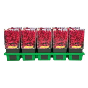 Astilbe Vulcano' P11
(10 Plants/Order)(11cmP 25cmH)