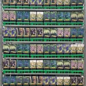 Aconitum mix CC P11
(10 Plants/Order)(11cmP 25cmH)