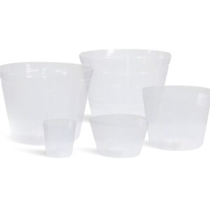 Arrangement Binnenhoes
(5 Plants/Order)(50cmP 38cmH)