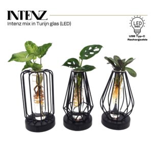 Indoor plants mix in Turijn Glas led levertijd: 24 uur
(6 Plants/Order)(7cmP 20cmH)