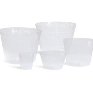 Arrangement Binnenhoes
(5 Plants/Order)(60cmP 45cmH)
