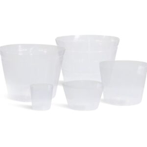 Arrangement Binnenhoes
(5 Plants/Order)(45cmP 35cmH)