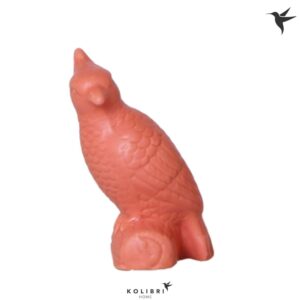 Huis and Tuindecoratie Home Cockatoo terracotta
(6 Plants/Order)(4cmP 12cmH)