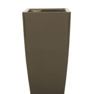 Arrangement Artevasi Piza Taupe
(1 Plants/Order)(33cmP 60cmH)