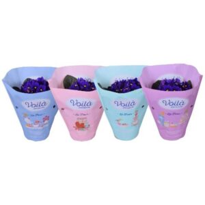 Saintpaulia blue voila ''la Fleur''x8
(8 Plants/Order)(12cmP 20cmH)