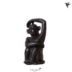 Huis and Tuindecoratie Home Monkey Sitting black
(6 Plants/Order)(12cmP 12cmH)