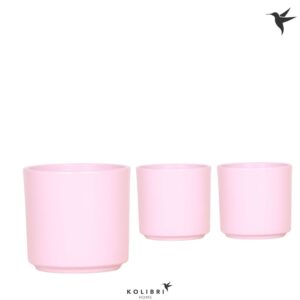 Keramische Pot Home Simplicity pink
(6 Plants/Order)(12cmP 13cmH)