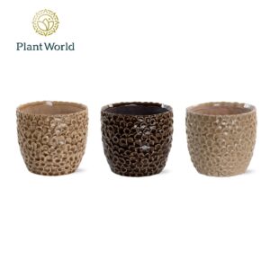 Keramische Pot Toegevoegde waarde Lizzy 7 cm Ceramics
(12 Plants/Order)(7cmP cmH)