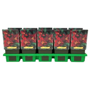 Hemerocallis Pardon Me
(10 Plants/Order)(11cmP 25cmH)