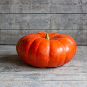 Cucurbita rougevifdetappes
(2 Plants/Order)(cmP cmH)