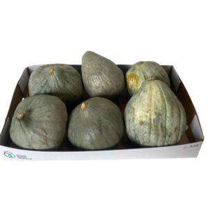 Cucurbita maxima 'Blue Hubbard' plant x6
(6 Plants/Order)(cmP cmH)
