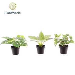 Huis and Tuindecoratie Kunstplant H% Artificial mix 9cm
(12 Plants/Order)(9cmP 20cmH)