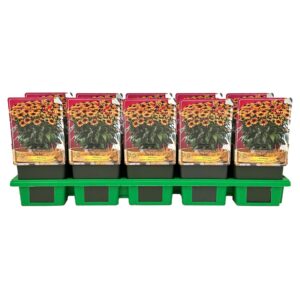Echinacea Sombrero Special Yellow Red P11
(10 Plants/Order)(11cmP 25cmH)