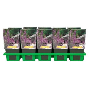 Nepeta Grol' P11
(10 Plants/Order)(11cmP 25cmH)