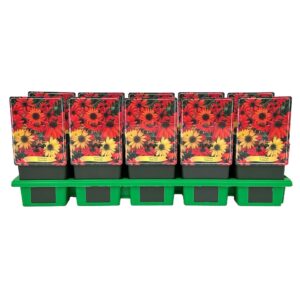 Echinacea purpurea Butterfly' P11
(10 Plants/Order)(11cmP 25cmH)