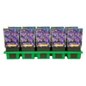 Platycodon grandiflorus
(10 Plants/Order)(11cmP 25cmH)