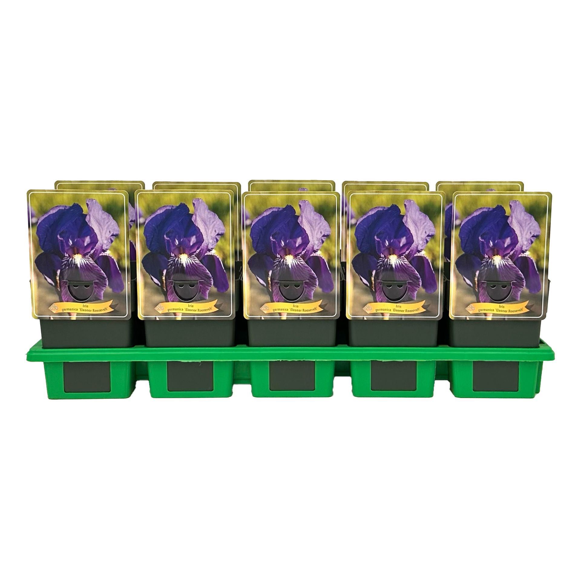a262b469-5c5e-402d-94fd-104fce66abfa.jpg