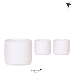 Keramische Pot Home Pastel white
(12 Plants/Order)(6cmP 6cmH)