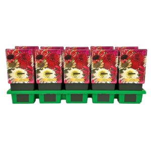 Echinacea purpurea Breeders Mix' P11
(10 Plants/Order)(11cmP 25cmH)