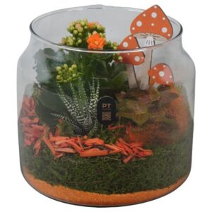 Arrangement kamer PTHG8221 Arrangement Autumn Glass in glazen vaas
(3 Plants/Order)(19cmP 20cmH)