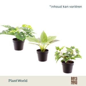 Huis and Tuindecoratie Kunstplant H% Artificial mix 9cm
(12 Plants/Order)(9cmP 20cmH)