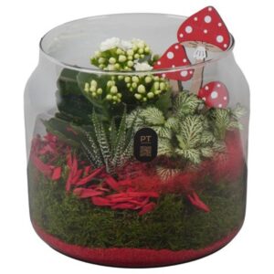 Arrangement kamer PTHG8223 Arrangement Autumn Glass in glazen vaas
(3 Plants/Order)(19cmP 20cmH)