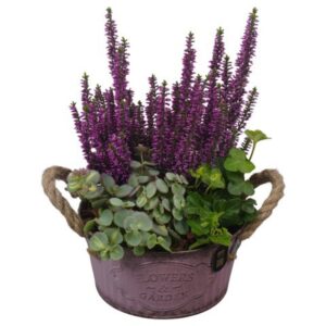 Arrangementen PTHO7599 Arrangement Autumn Outdoor in metalen Pot
(6 Plants/Order)(16cmP 26cmH)