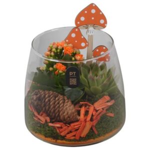 Arrangement kamer PTHG8290 Arrangement Autumn Glass in glazen vaas
(5 Plants/Order)(14cmP 20cmH)