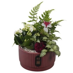 Arrangement kamer PTHI3207 Arrangement Autumn Indoor in Ceramics schaal
(6 Plants/Order)(16cmP 20cmH)